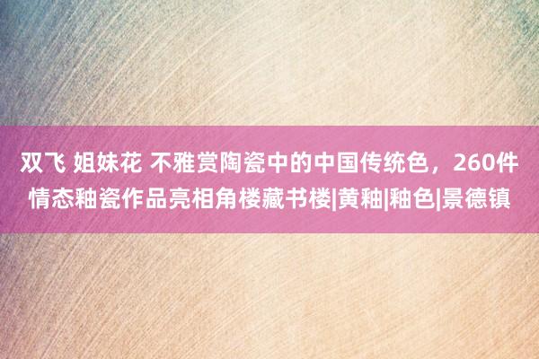 双飞 姐妹花 不雅赏陶瓷中的中国传统色，260件情态釉瓷作品亮相角楼藏书楼|黄釉|釉色|景德镇